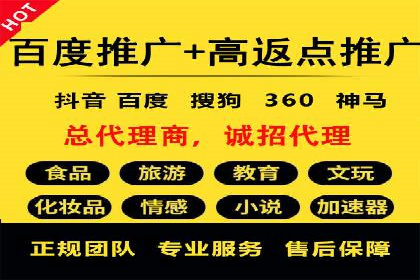 SEM投放策略优化案例分析